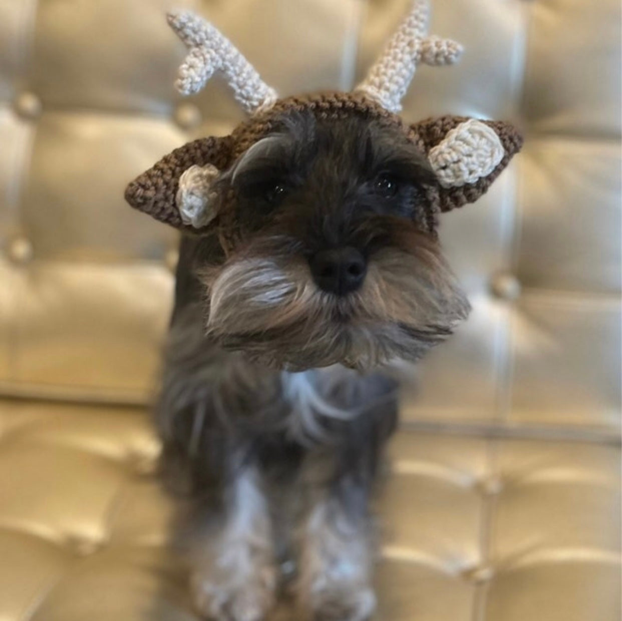 Knitted Reindeer Hat
