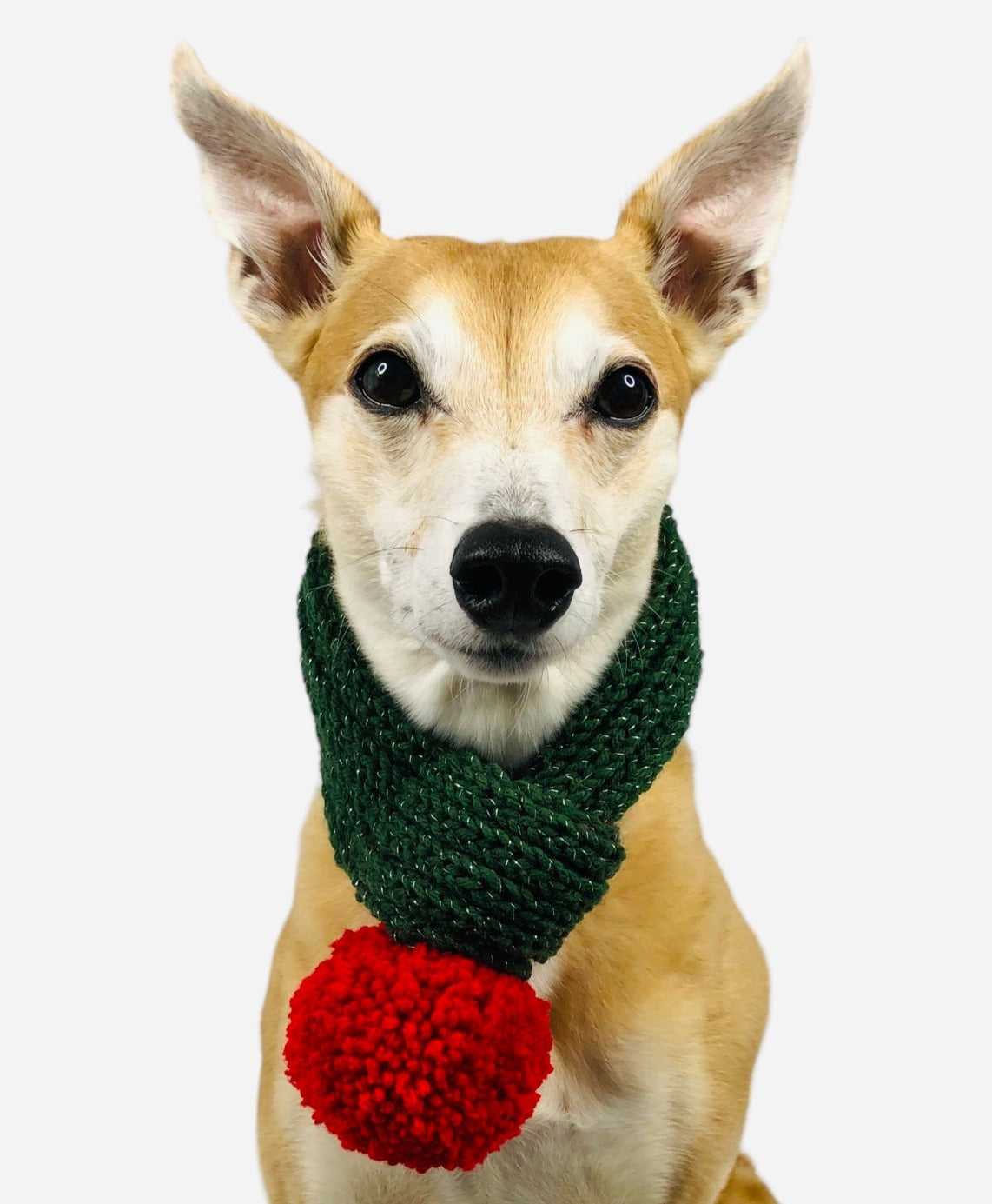 Dark Green Pompom Scarf