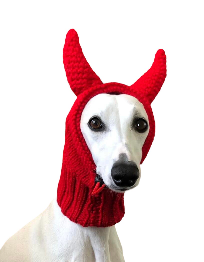 Knitted Devil Hat