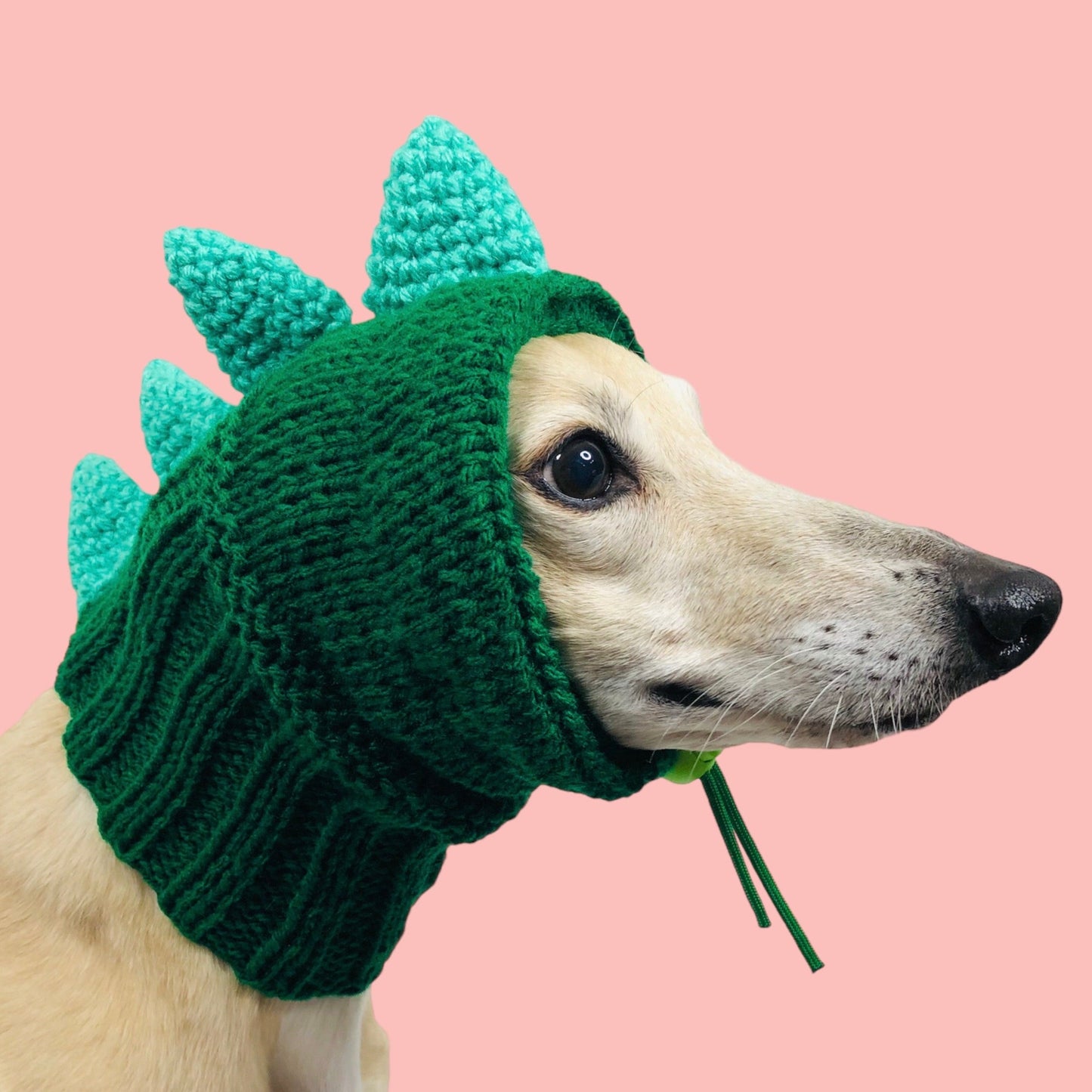 Knitted Dinosaur Hat