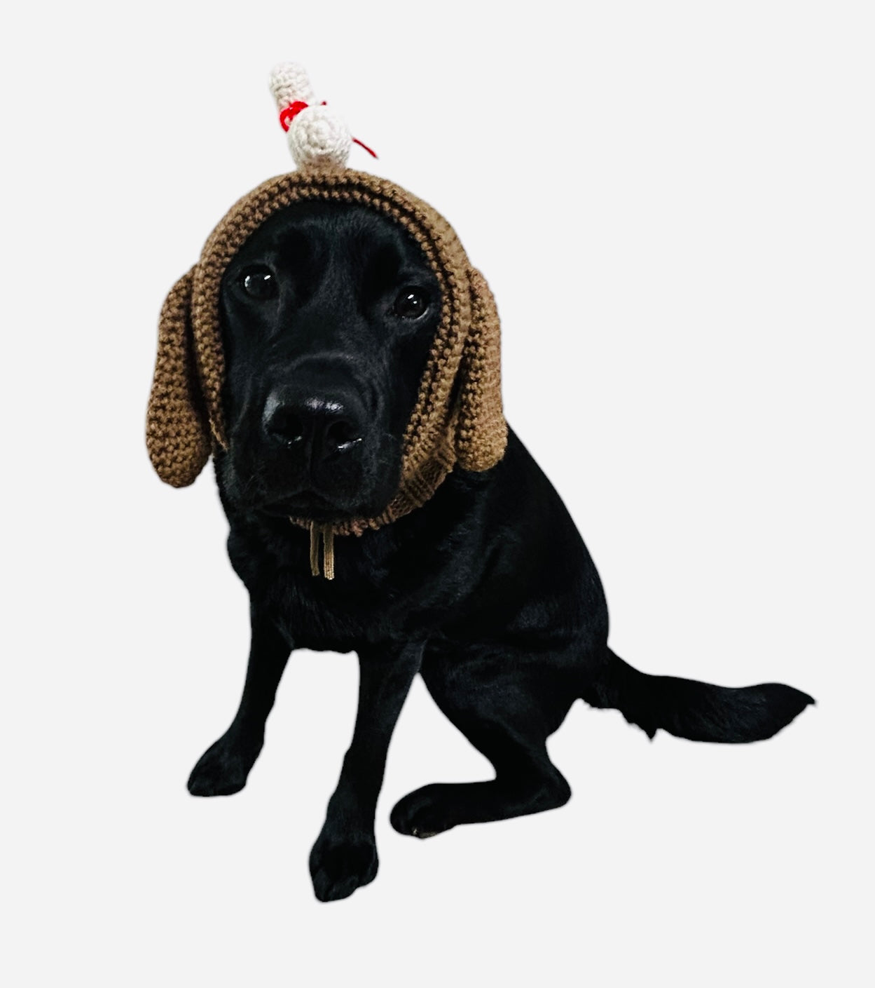 Max Hat
