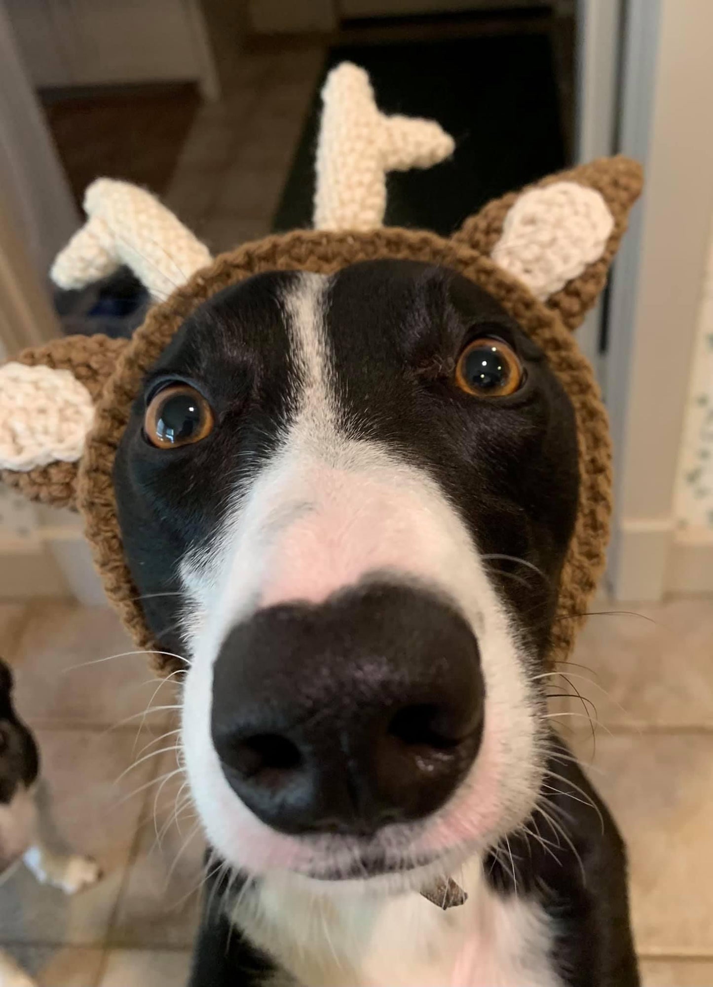 Knitted Reindeer Hat