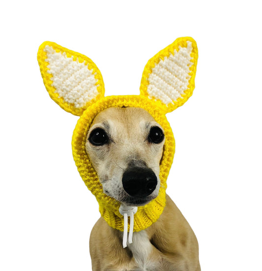Yellow Knitted Bunny Ear Hat