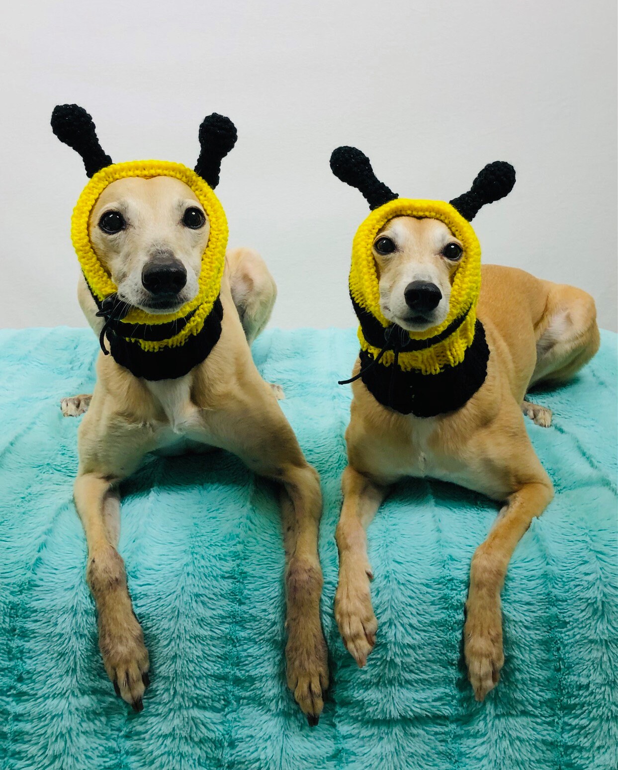 Knitted Bee Hat